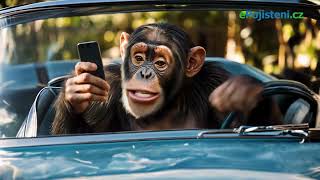 Úrazové pojištění